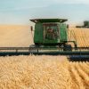 Două combine verzi recoltează un lan mare de grâu copt, într-o zi însorită