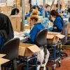 Angajați care lucrează pe o linie de producție și ambalare într-o fabrică, exemplu de expunere la răspunderea producătorului